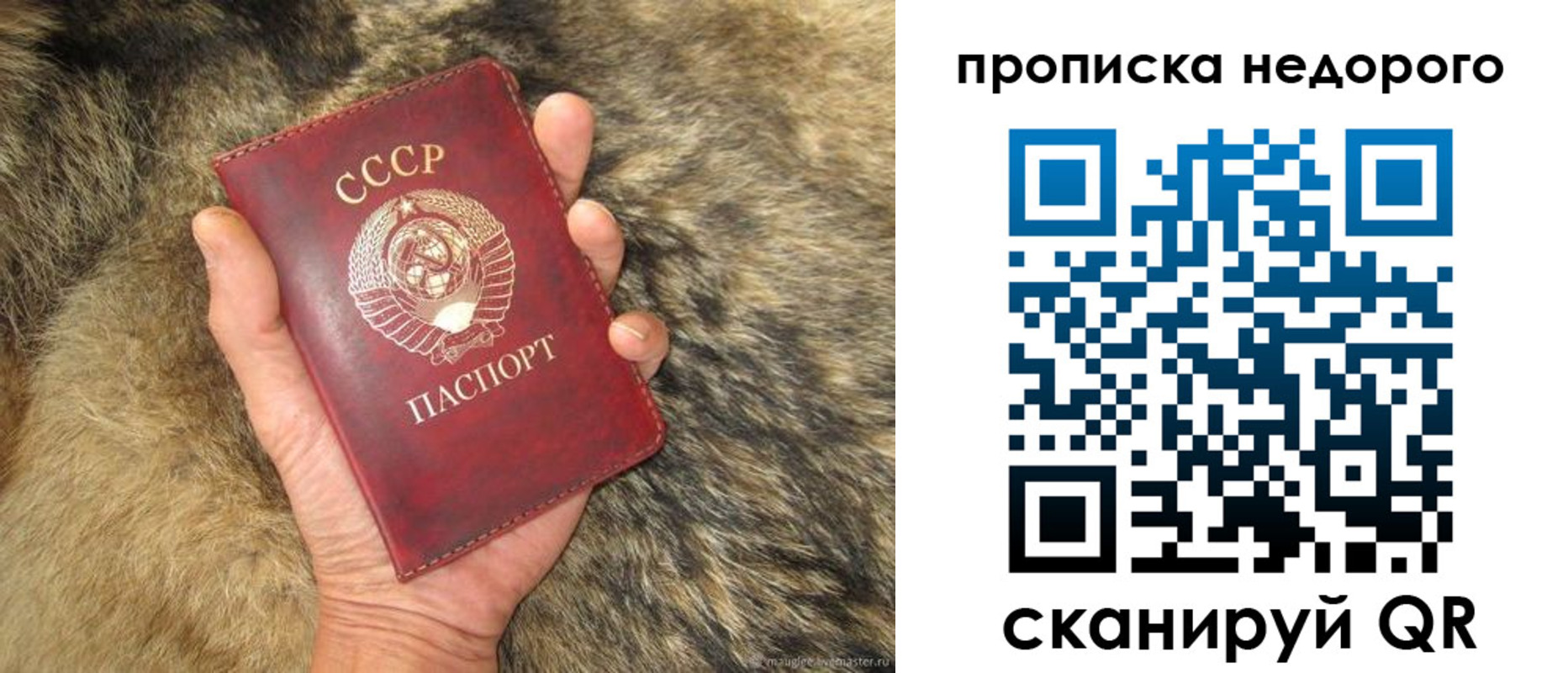 прописка для школы в Райчихинске